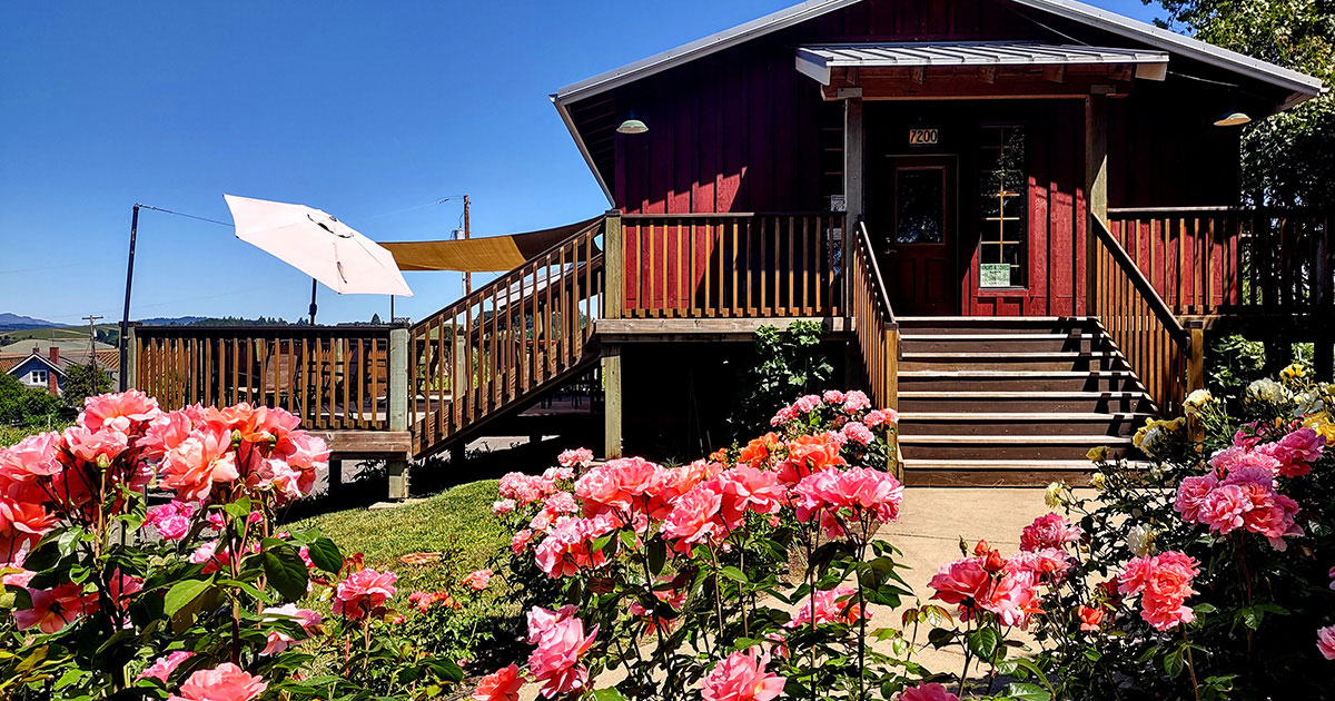 The roses are finally in full bloom, making the walk up to the door even better.