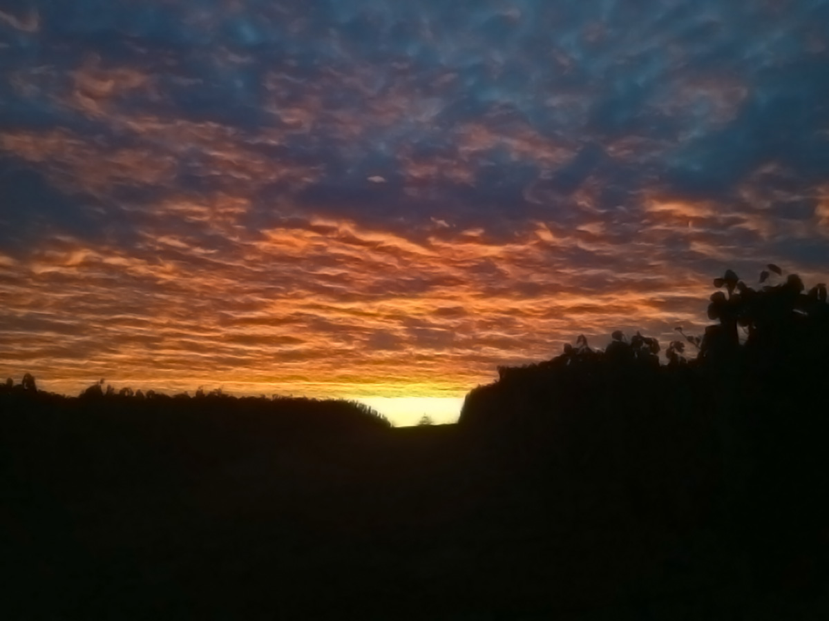 Up before the sun!